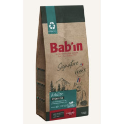 Bab'in chat - Canard