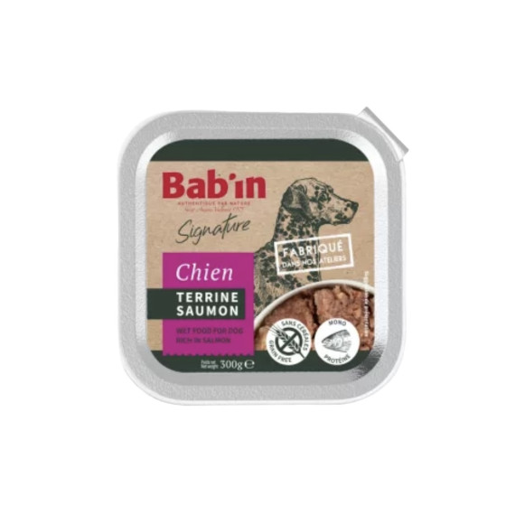 Terrine chien au saumon 300g