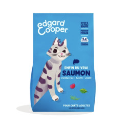 Chat adulte saumon 4Kg