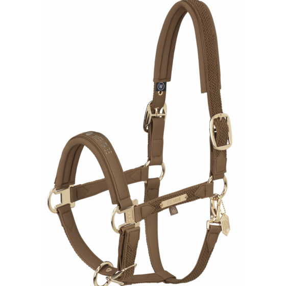 Licol cuir synthetique...