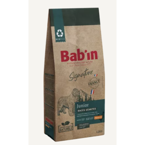 Bab'in - Junior race géante...