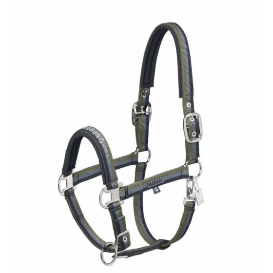 Licol classic sport