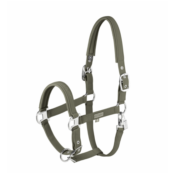 Licol classic sport