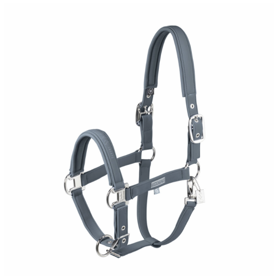 Licol classic sport