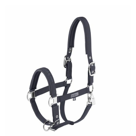 Licol classic sport
