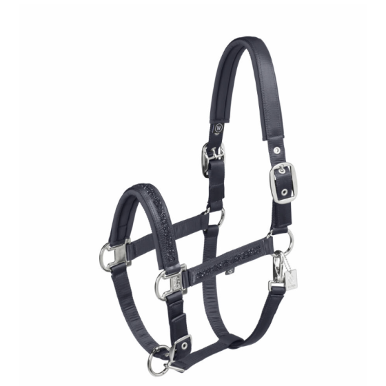 Licol mattgloss classic sport
