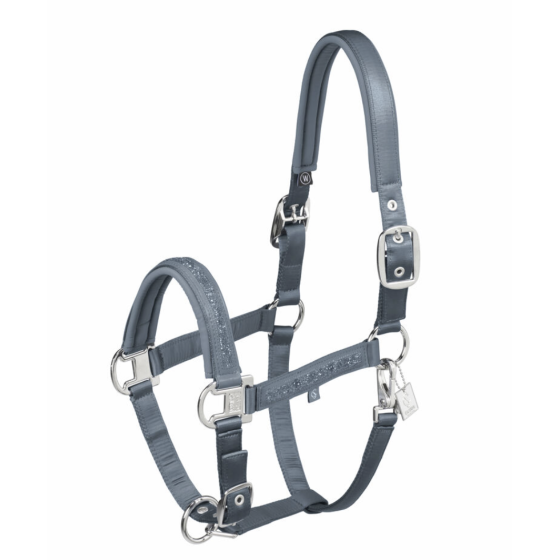 Licol mattgloss classic sport