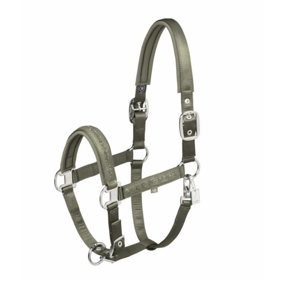 Licol mattgloss classic sport