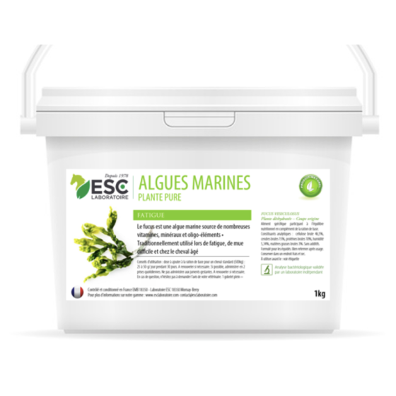 ALGUES MARINES - Fatigue et...