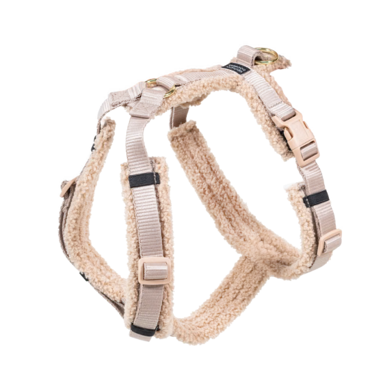 Harnais pour chien Active...