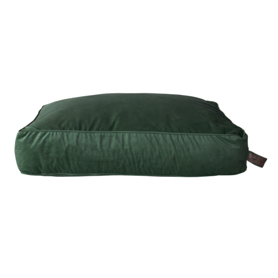 Coussin velvet