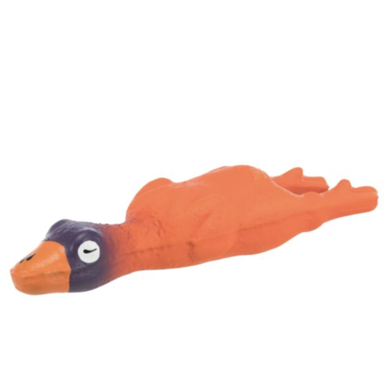 Canard