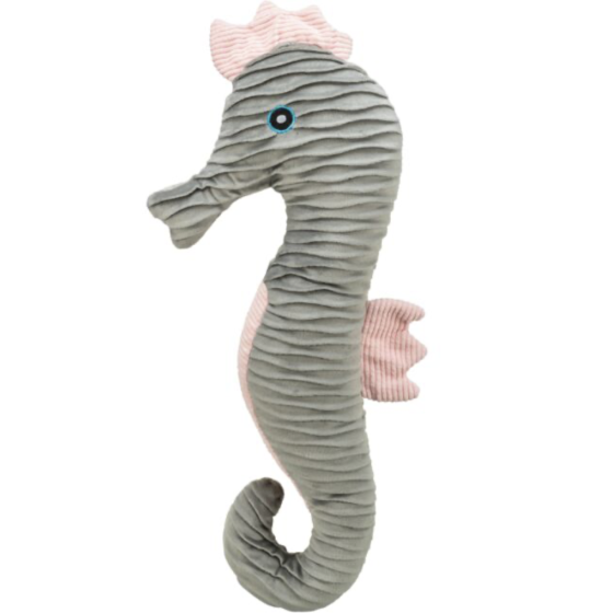 Hippocampe