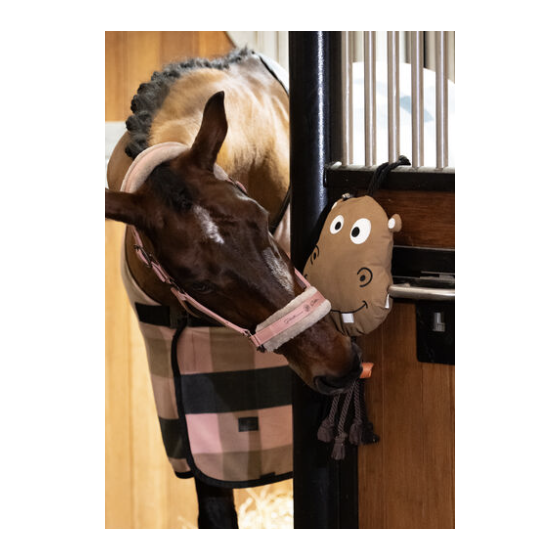 Jouet hippo Platinium