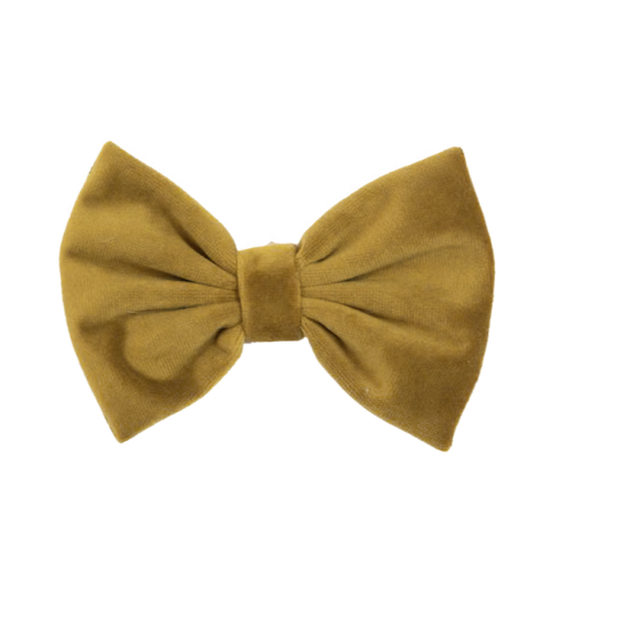 Noeud papillon