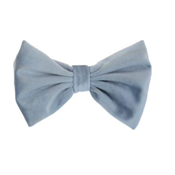 Noeud papillon