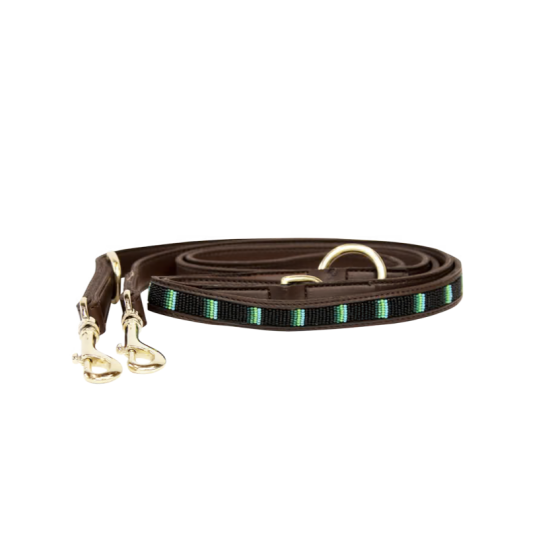 Laisse pour chien en Perles...