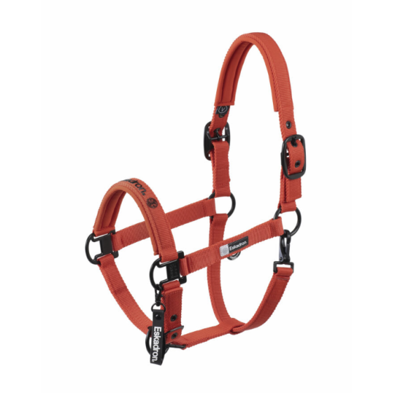 Licol dynamic 25