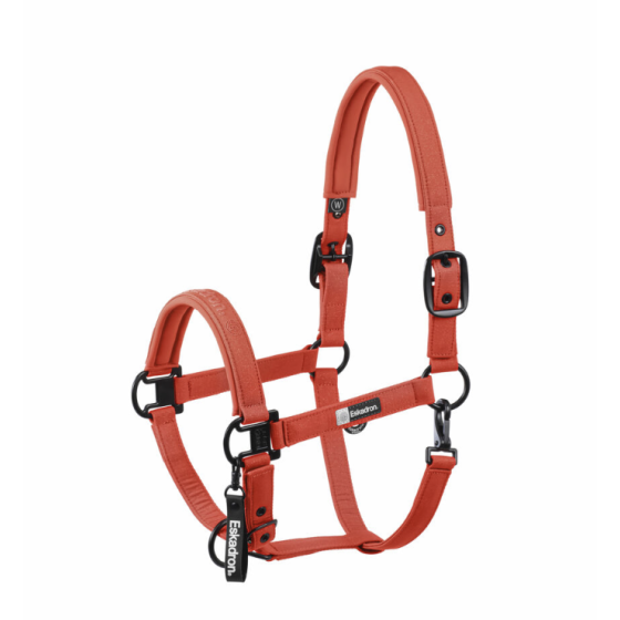 Licol sparkle dynamic 25