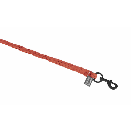 Longe dynamic 25