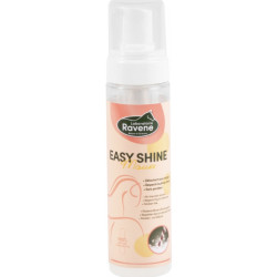 Easy shine mousse 200ml