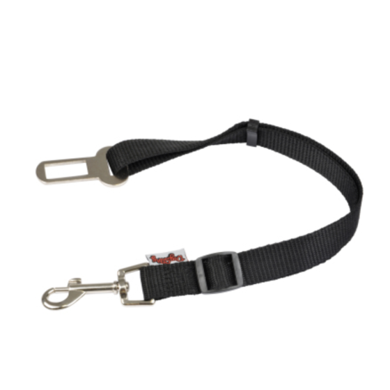 Laisse de securite voiture