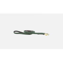 Laisse nylon tressé vert 120 cm