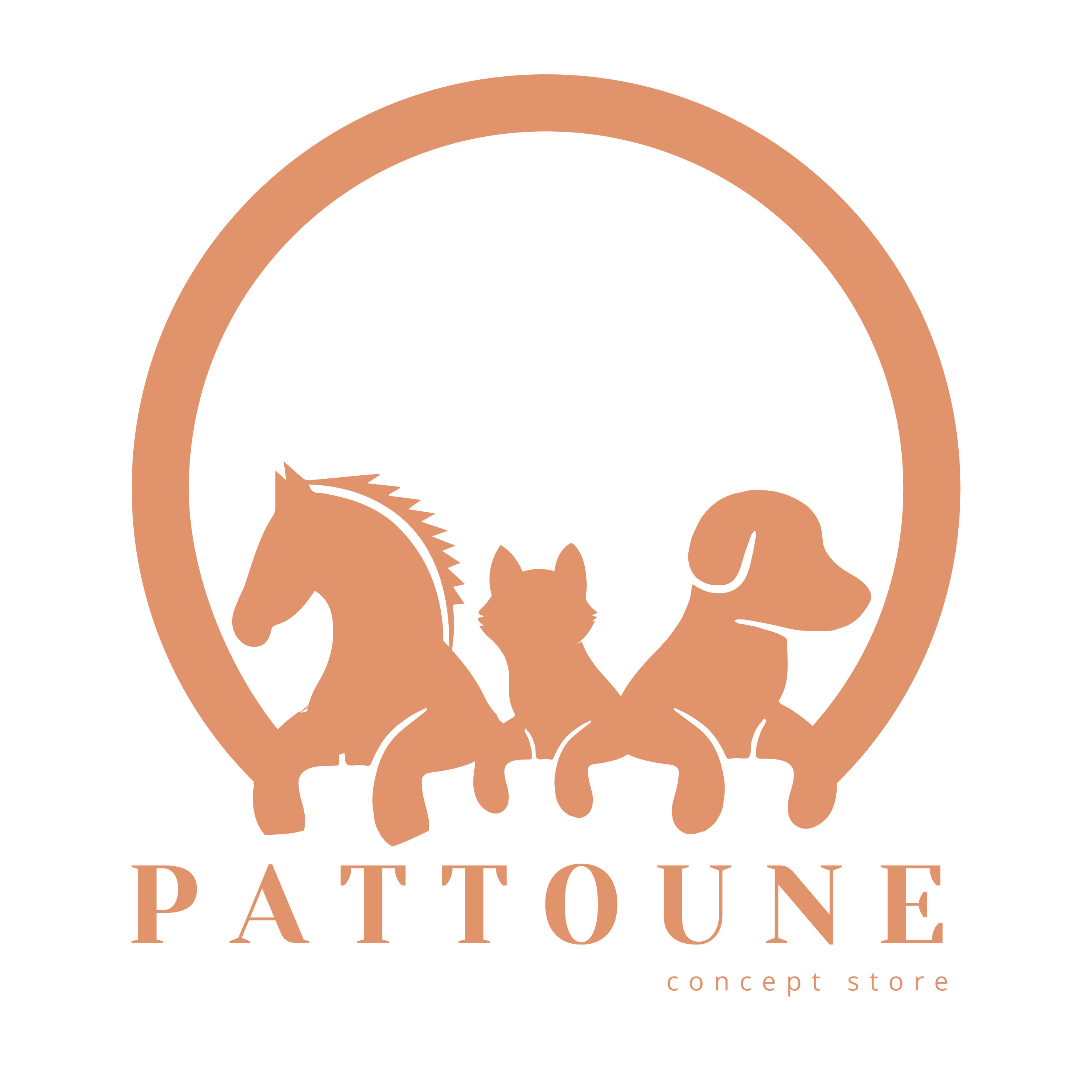 Pattoune